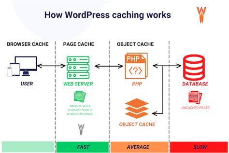 WordPress Cache .
